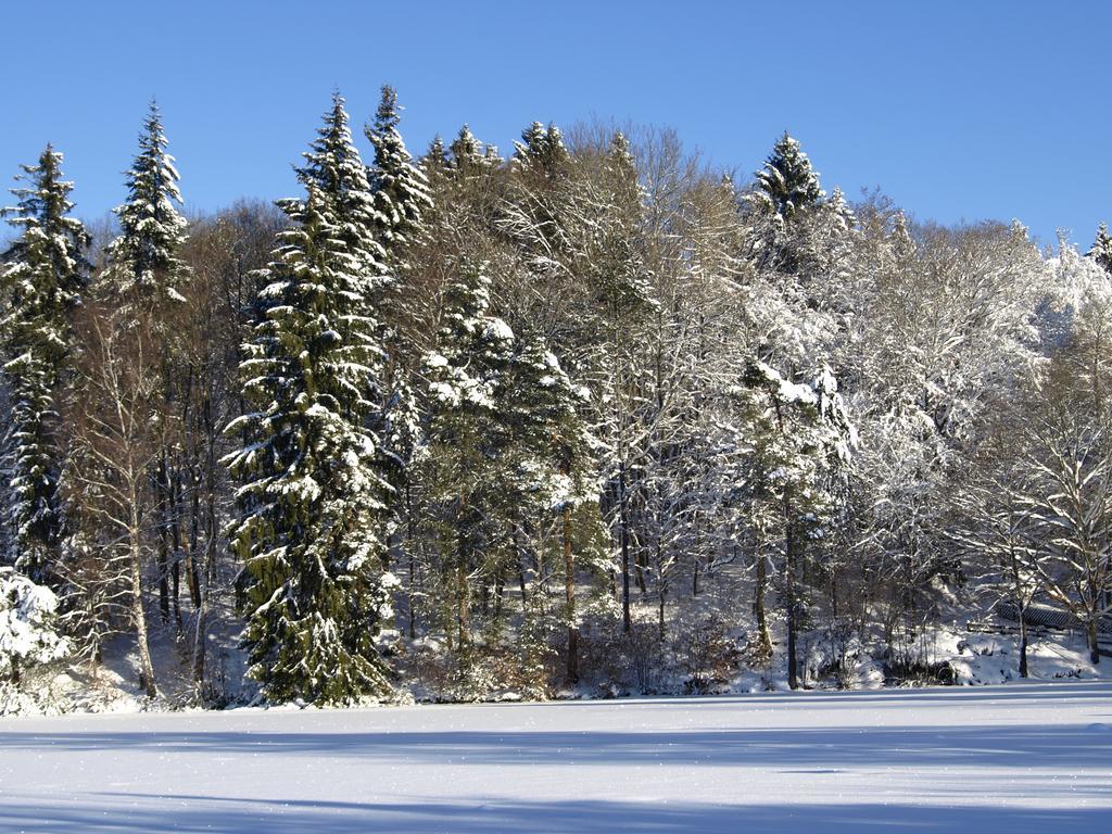 Pension Volkert Bad Sachsa Esterno foto