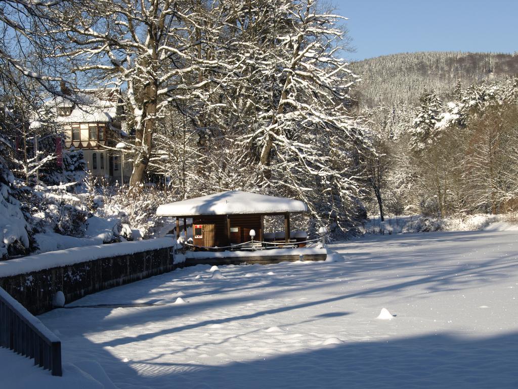 Pension Volkert Bad Sachsa Esterno foto